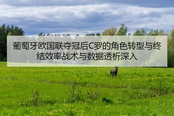 pu-tao-ya-ou-guo-lian-duo-guan-hou-luo-de-jue-se-zhuan-xing-yu-zhong-jie-xiao-lv-zhan-shu-yu-shu-ju-tou-xi-shen-ru-2-635.jpg